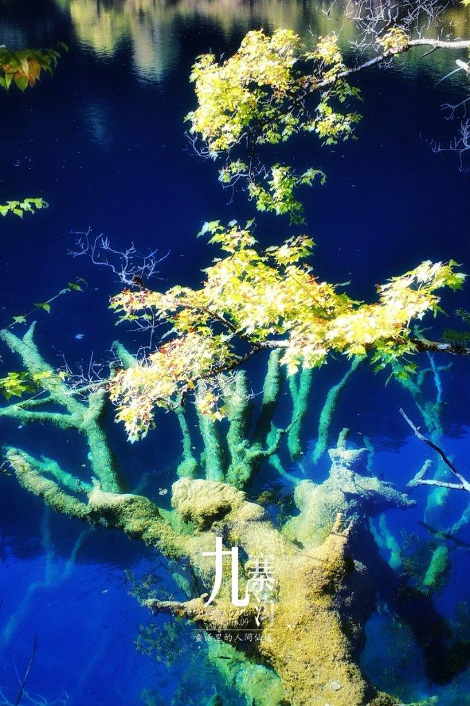 芬兰专利注册局已对官费进行调整(汇诚伙伴)