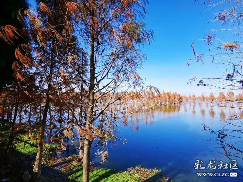 韩国12月芯片出货量飙升逾一倍,创26年来最大增幅
